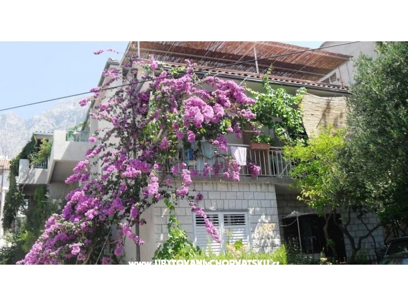 Apartmani KATE - Makarska